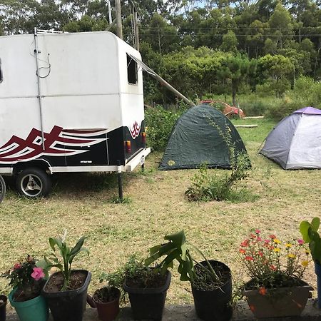 Camping Refugio Shakti II Florianopolis Luaran gambar